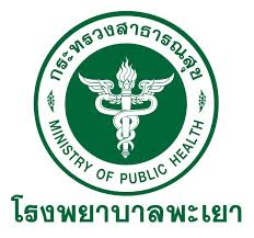 โรงพยาบาลพะเยา รับสมัคร พนักงานขับรถยนต์  1 อัตรา จ้างวันละ 330 บาท ตั้งแต่วันที่ 8-19 ธ.ค. 2568 