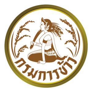 สำนักบริหารกลาง กรมการข้าว รับสมัครจ้างเหมาบริการบุคคลธรรมดา 1 อัตรา เงินเดือน  15,000 บาท  ตั้งแต่วันที่ 29 เม.ย. - 8 พ.ค. 2569